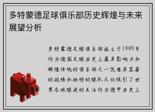 多特蒙德足球俱乐部历史辉煌与未来展望分析