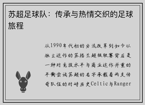 苏超足球队：传承与热情交织的足球旅程