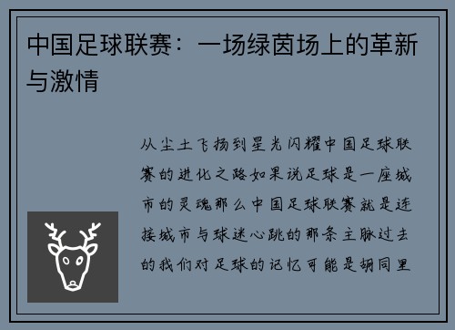 中国足球联赛：一场绿茵场上的革新与激情